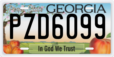 GA license plate PZD6099