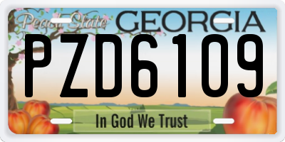 GA license plate PZD6109