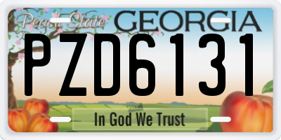 GA license plate PZD6131