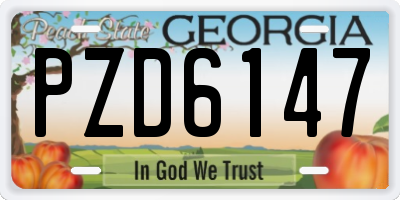 GA license plate PZD6147