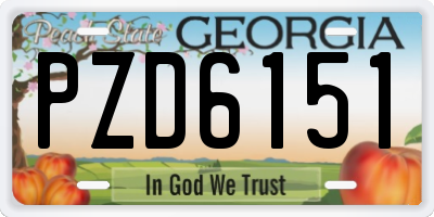 GA license plate PZD6151