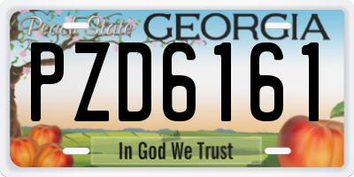 GA license plate PZD6161