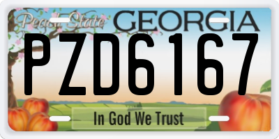 GA license plate PZD6167