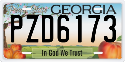 GA license plate PZD6173