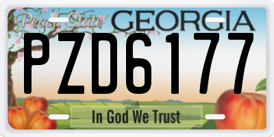 GA license plate PZD6177
