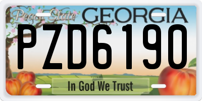 GA license plate PZD6190