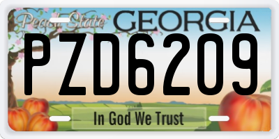 GA license plate PZD6209