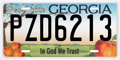 GA license plate PZD6213