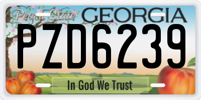 GA license plate PZD6239