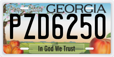 GA license plate PZD6250