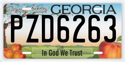 GA license plate PZD6263