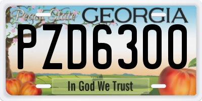 GA license plate PZD6300