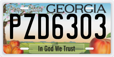 GA license plate PZD6303