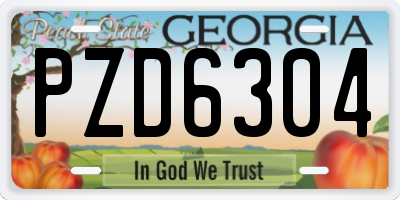 GA license plate PZD6304