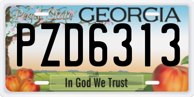 GA license plate PZD6313