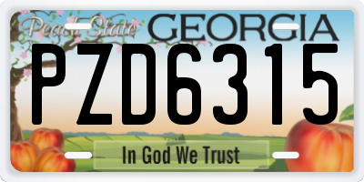 GA license plate PZD6315