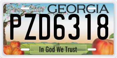 GA license plate PZD6318