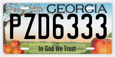 GA license plate PZD6333