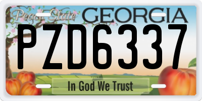 GA license plate PZD6337