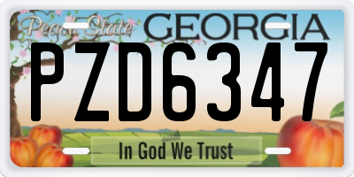 GA license plate PZD6347