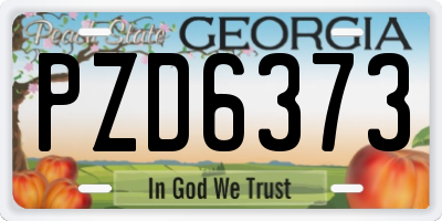 GA license plate PZD6373