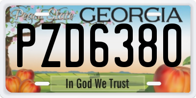 GA license plate PZD6380