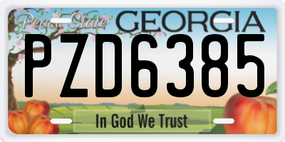 GA license plate PZD6385