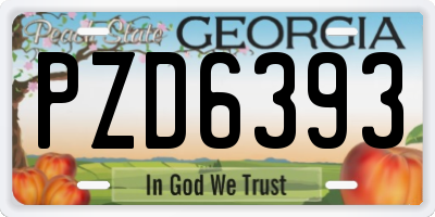 GA license plate PZD6393