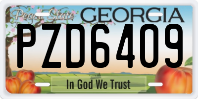 GA license plate PZD6409