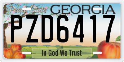 GA license plate PZD6417