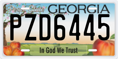 GA license plate PZD6445