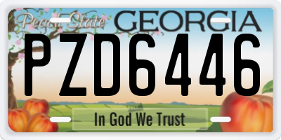 GA license plate PZD6446