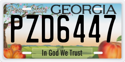 GA license plate PZD6447