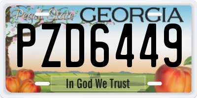 GA license plate PZD6449