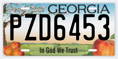 GA license plate PZD6453