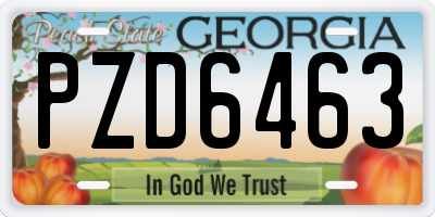 GA license plate PZD6463