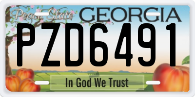 GA license plate PZD6491