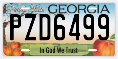 GA license plate PZD6499