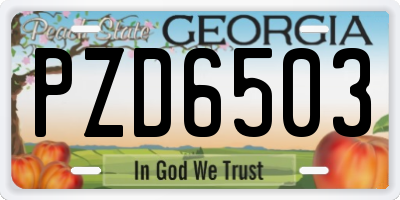 GA license plate PZD6503