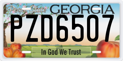 GA license plate PZD6507