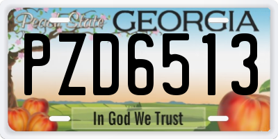 GA license plate PZD6513