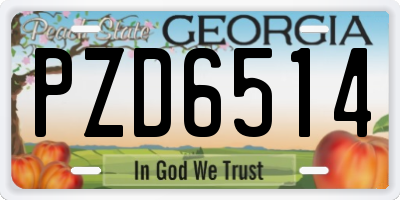 GA license plate PZD6514