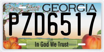 GA license plate PZD6517
