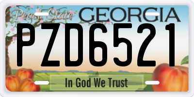 GA license plate PZD6521