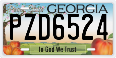 GA license plate PZD6524
