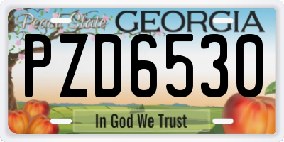 GA license plate PZD6530