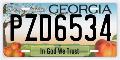 GA license plate PZD6534