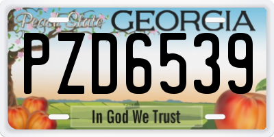 GA license plate PZD6539