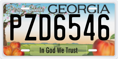 GA license plate PZD6546