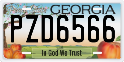 GA license plate PZD6566